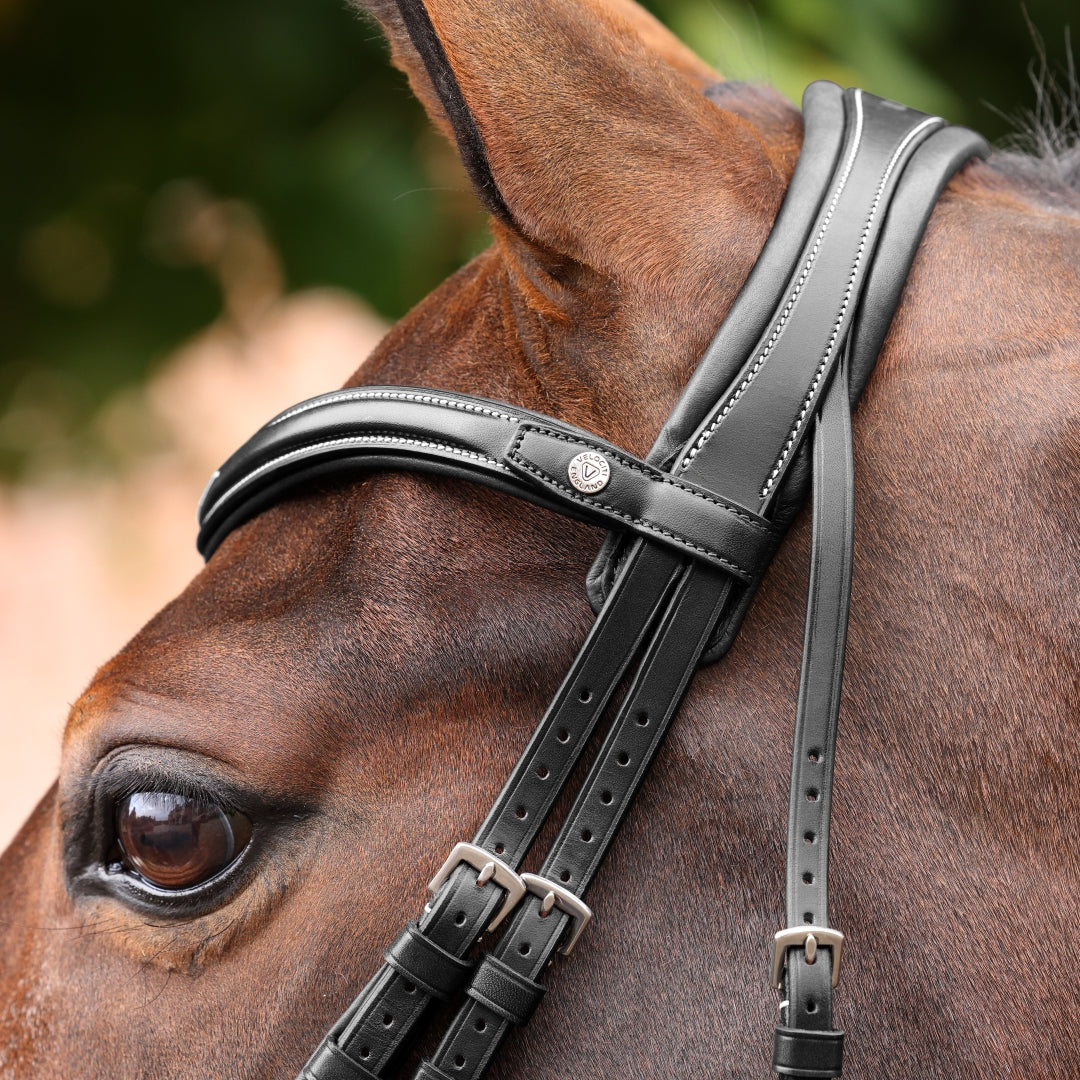 Shires Velociti LUSSO Opus 180M Grackle Bridle #colour_black