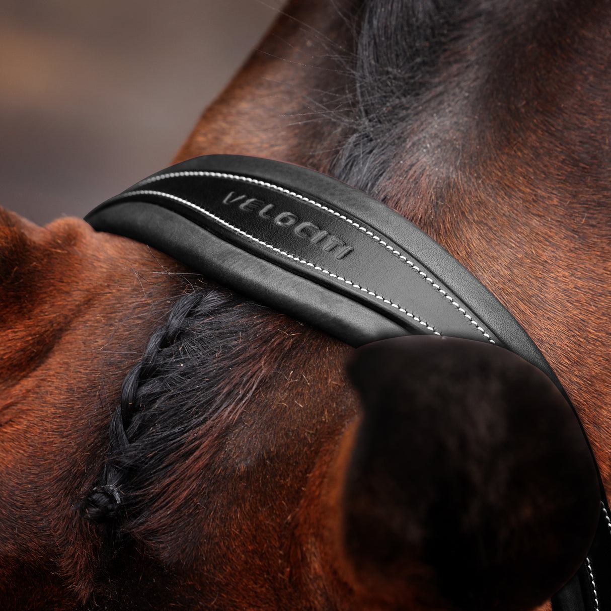 Shires Velociti LUSSO Opus 180M Grackle Bridle #colour_black