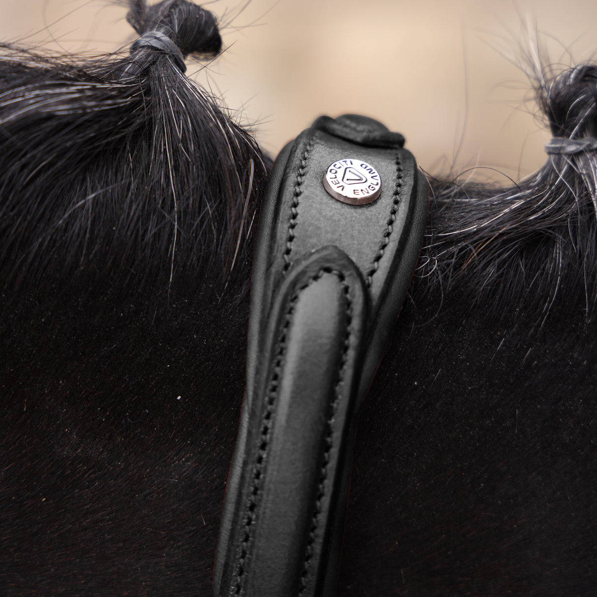 Shires Velociti LUSSO Opus 180M Grackle Bridle #colour_black