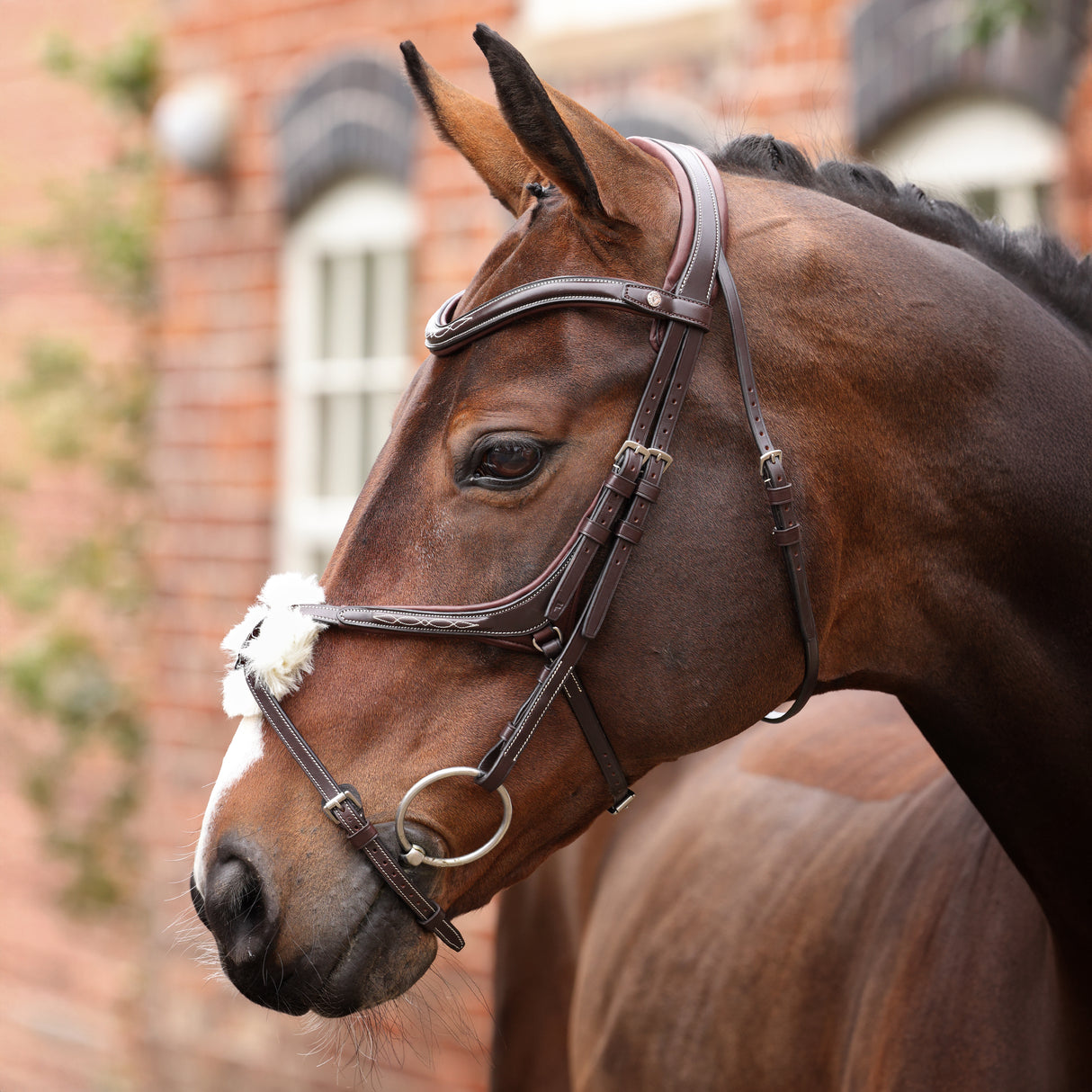 Shires Velociti LUSSO Opus 180M Grackle Bridle #colour_havana