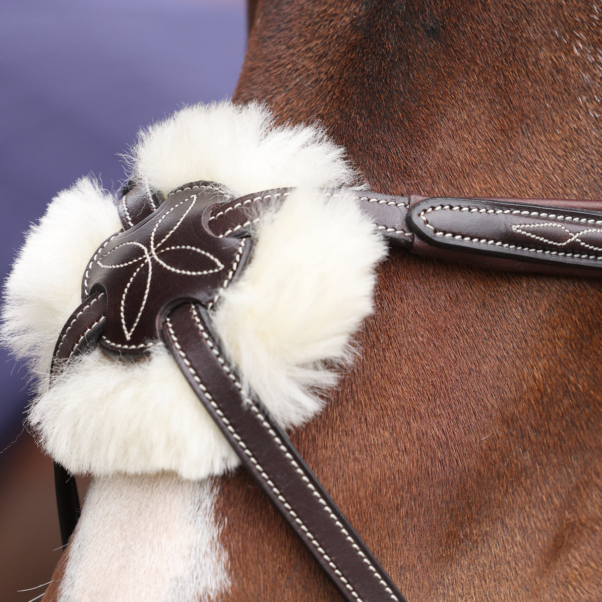 Shires Velociti LUSSO Opus 180M Grackle Bridle #colour_havana