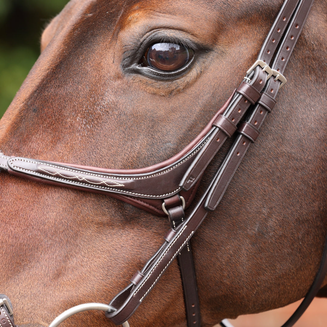 Shires Velociti LUSSO Opus 180M Grackle Bridle #colour_havana
