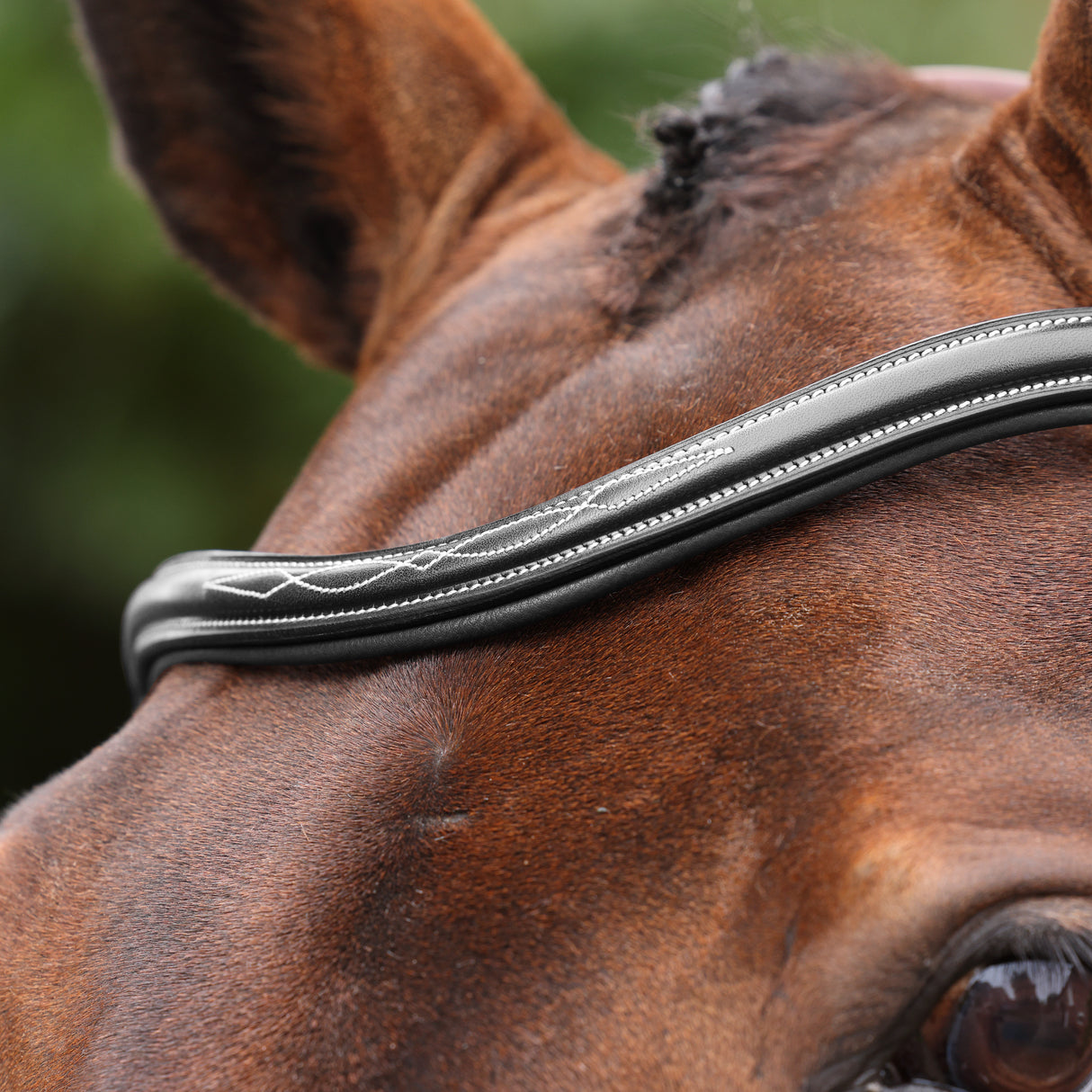 Shires Velociti LUSSO Opus 180M Ergonomic Flash Bridle #colour_black