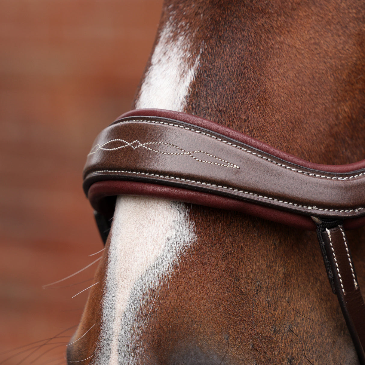 Shires Velociti LUSSO Opus 180M Ergonomic Flash Bridle #colour_havana