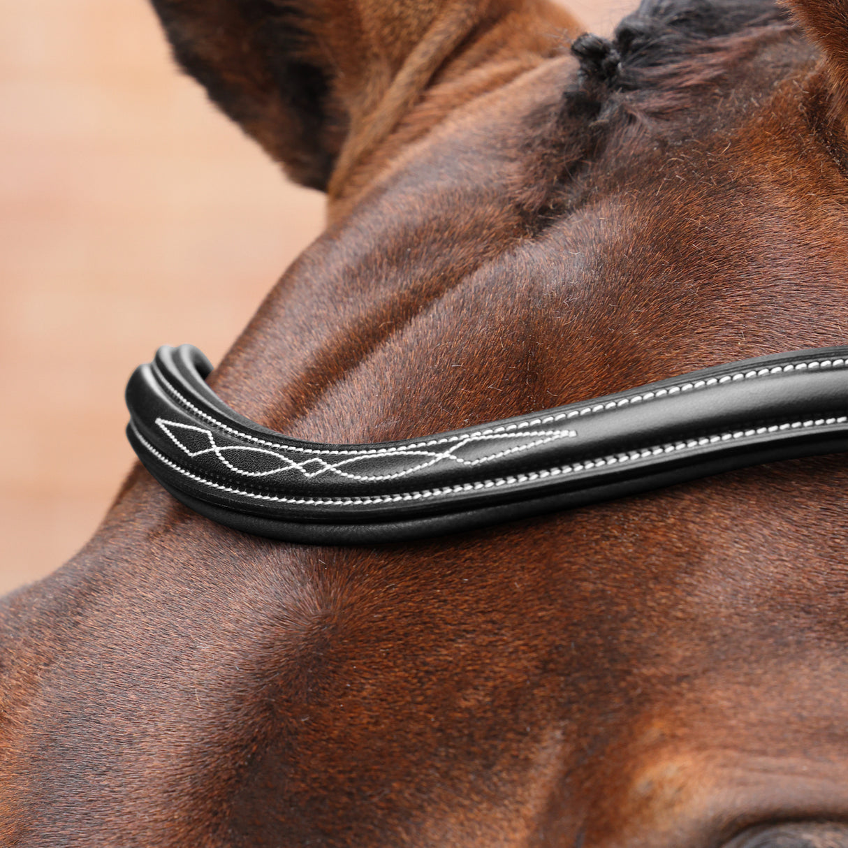Shires Velociti LUSSO Opus 180M Dressage Flash Bridle #colour_black