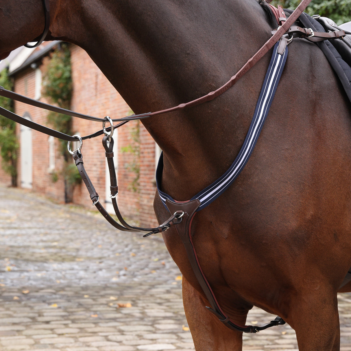Shires Velociti LUSSO Opus Elastic Breastplate #colour_havana