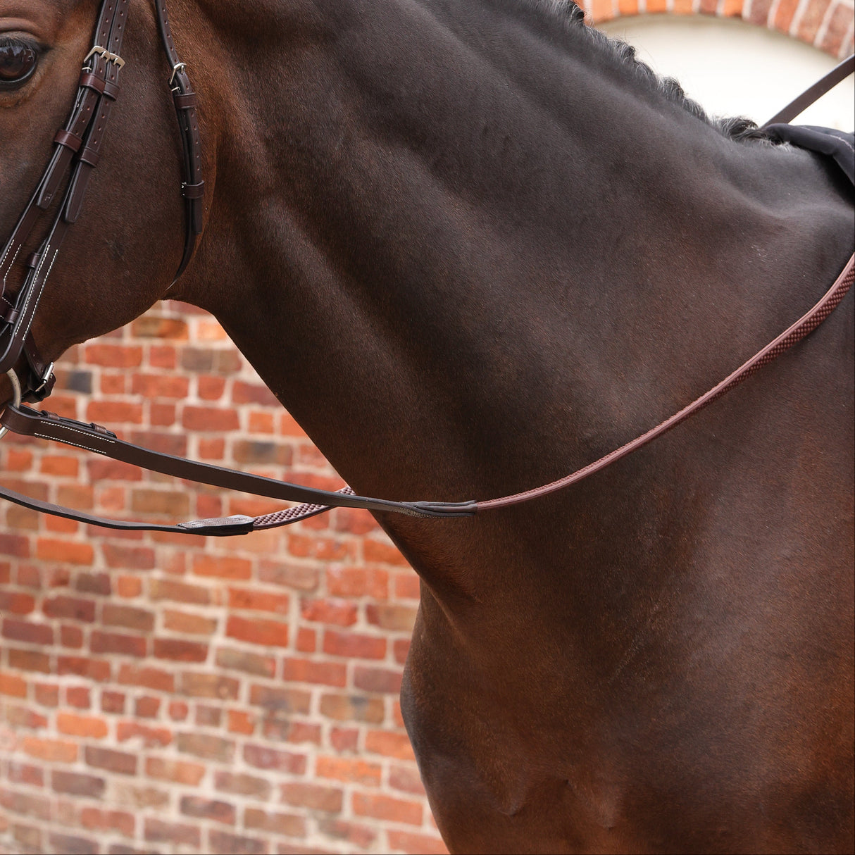 Shires Velociti LUSSO Opus SureGrip Reins #colour_havana