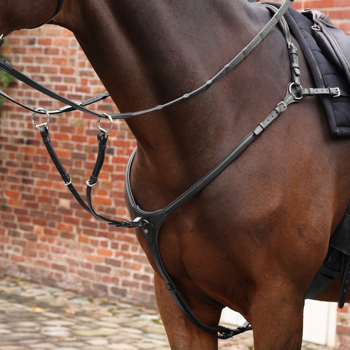 Shires Velociti LUSSO Opus Close Contact Breastplate #colour_black