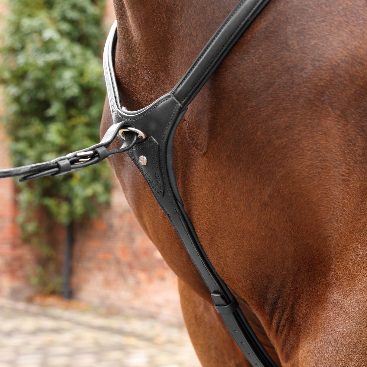 Shires Velociti LUSSO Opus Close Contact Breastplate #colour_black