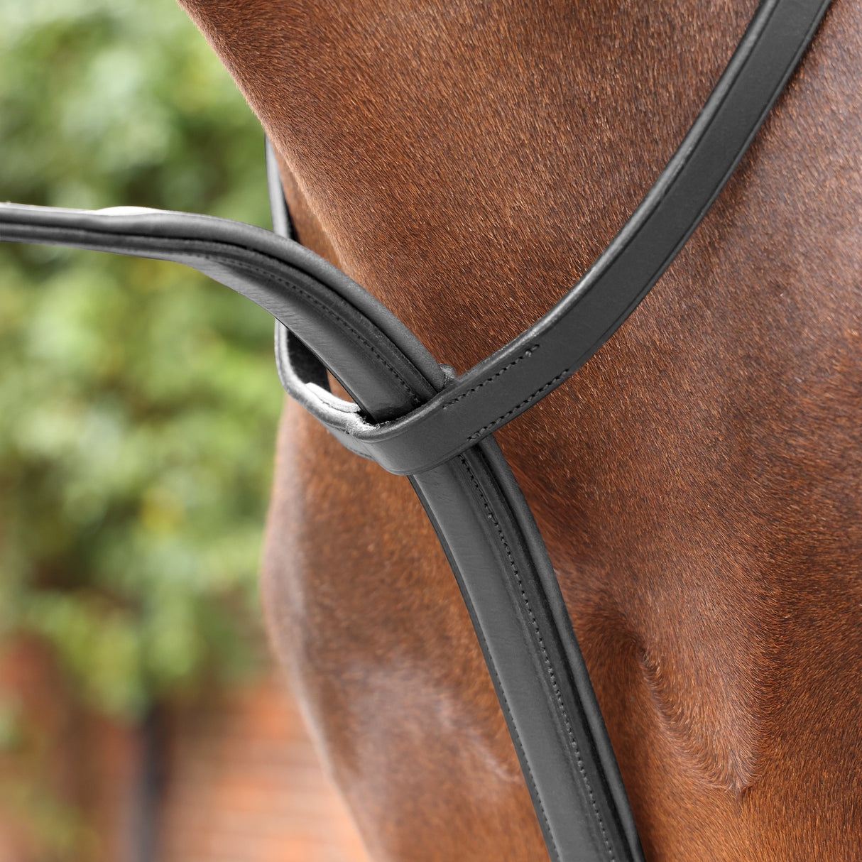 Shires Velociti LUSSO Opus Close Contact Breastplate #colour_black