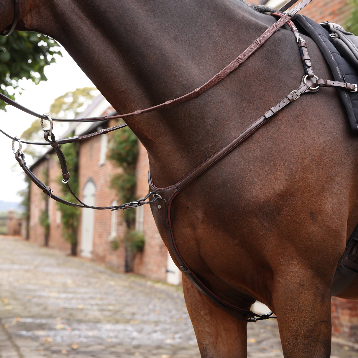 Shires Velociti LUSSO Opus Close Contact Breastplate #colour_havana