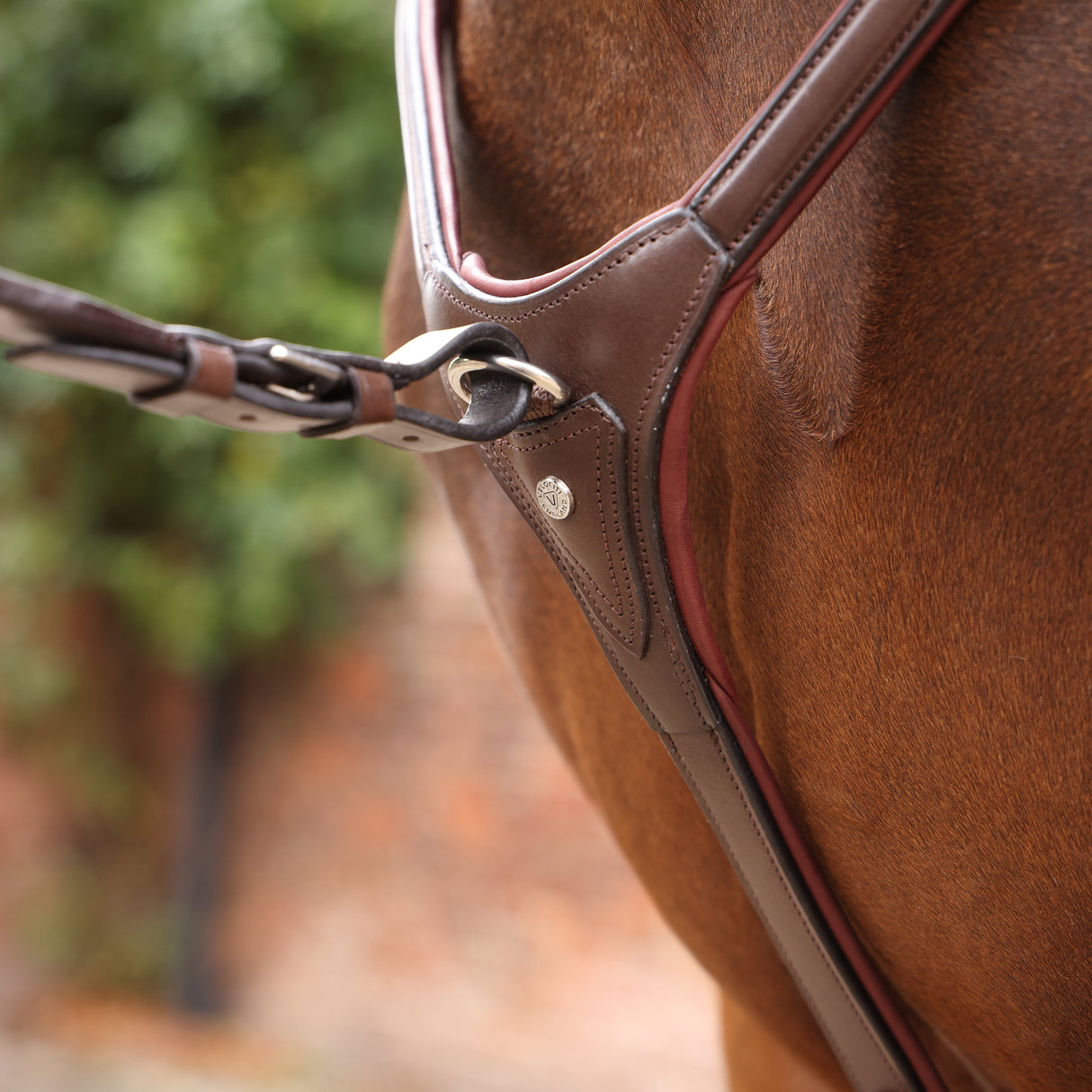 Shires Velociti LUSSO Opus Close Contact Breastplate #colour_havana