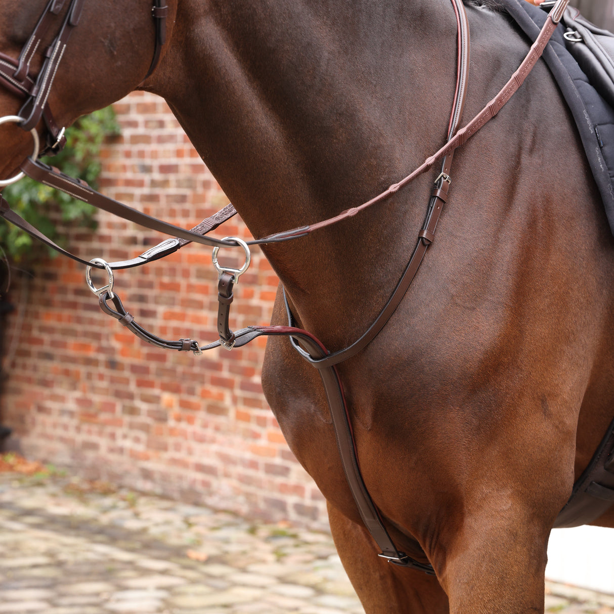 Shires Velociti LUSSO Opus Running Martingale #colour_havana
