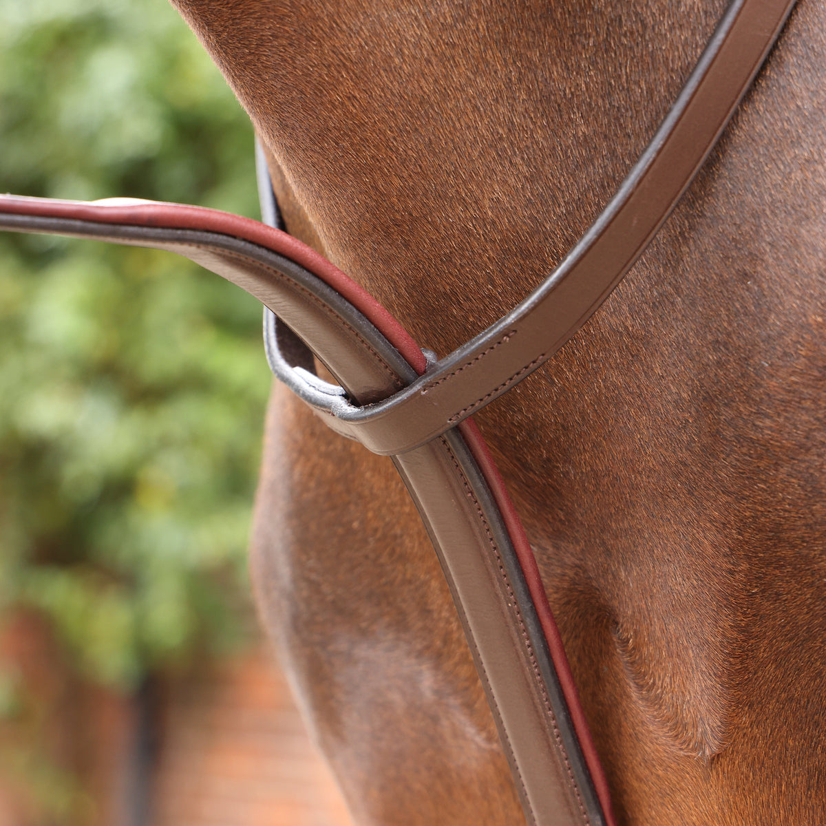 Shires Velociti LUSSO Opus Running Martingale