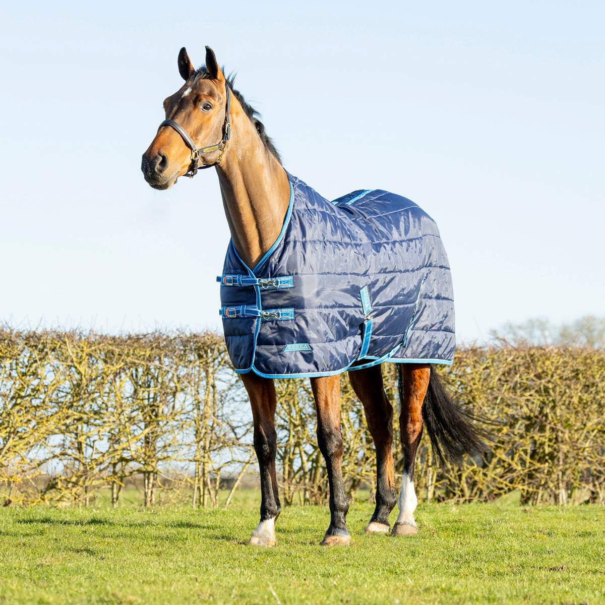 StormX Empra 200g Stable Rug #colour_navy