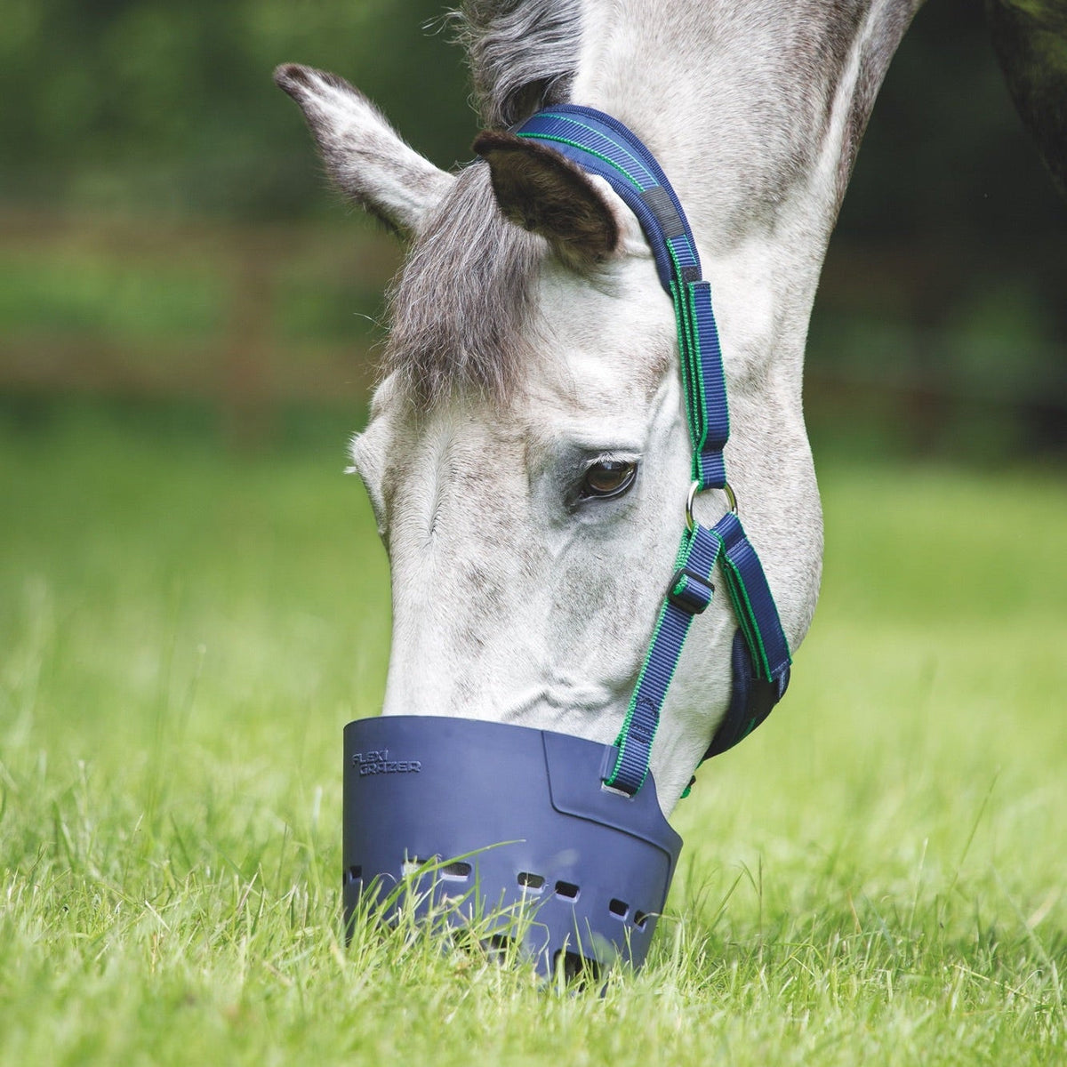 Muselière pâturage Shires FLEXI GRAZER