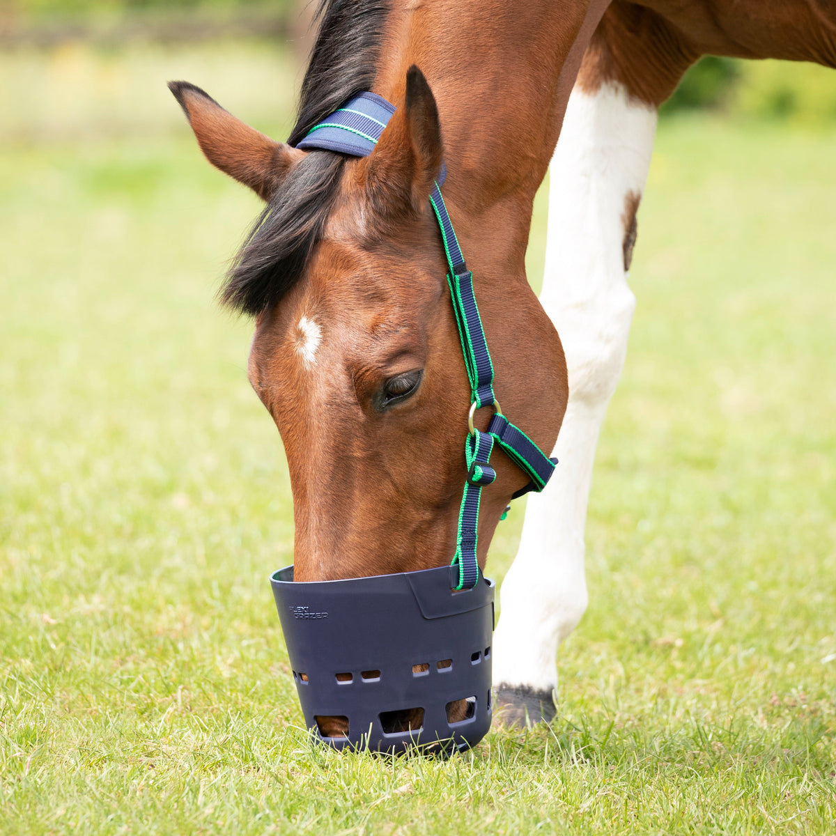 Muselière pâturage Shires FLEXI GRAZER