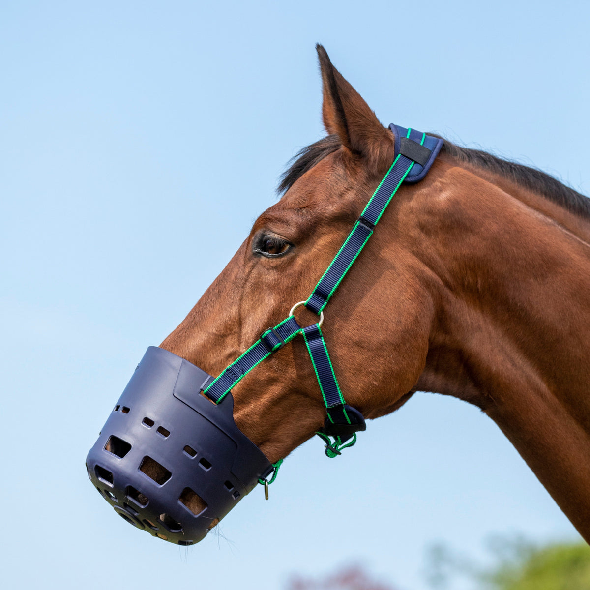 Muselière pâturage Shires FLEXI GRAZER