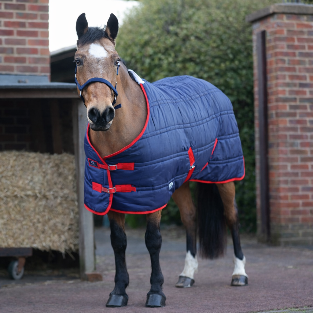 GS Equestrian 250g Stable Rug