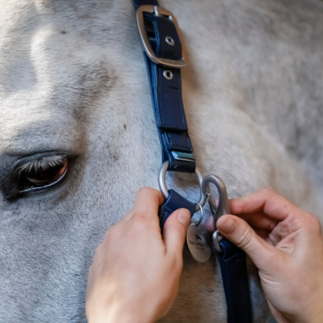 Horseware Ireland Grooming Headcollar #colour_navy