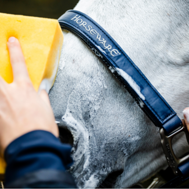 Horseware Ireland Grooming Headcollar #colour_navy