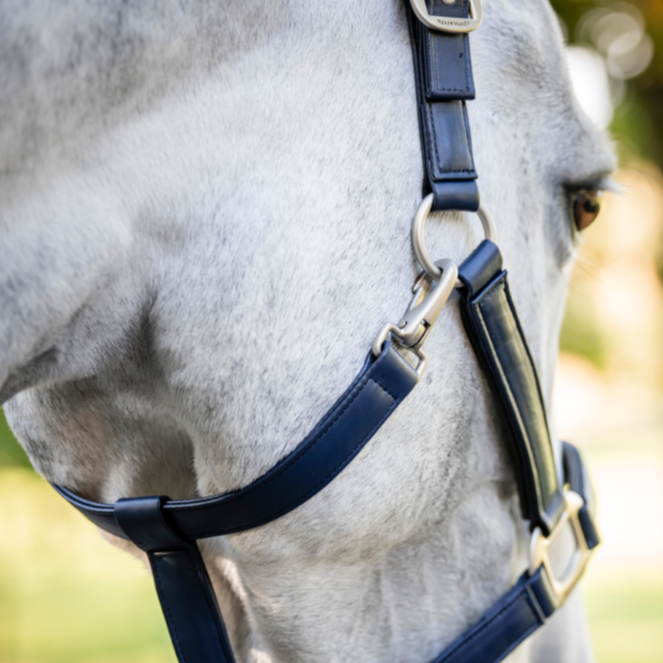 Horseware Ireland Grooming Headcollar #colour_navy