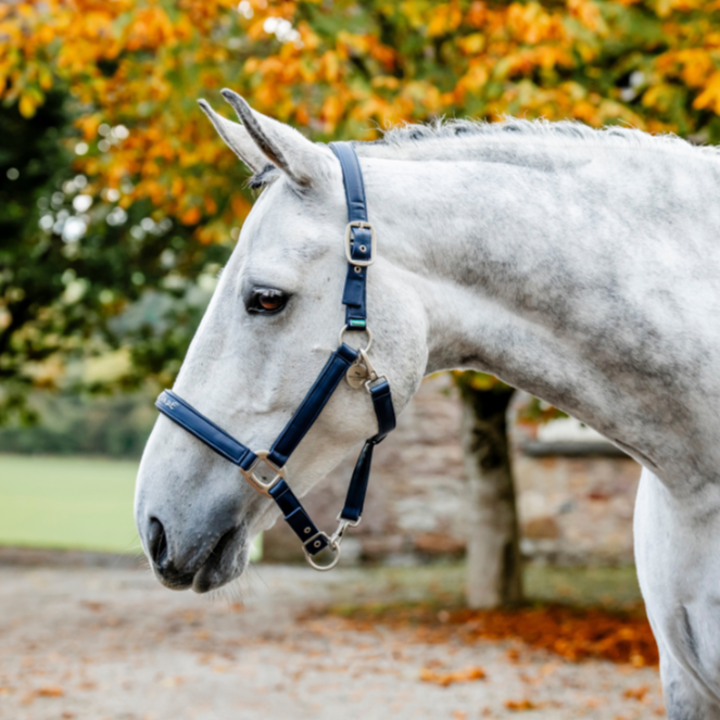 Horseware Ireland Grooming Headcollar #colour_navy