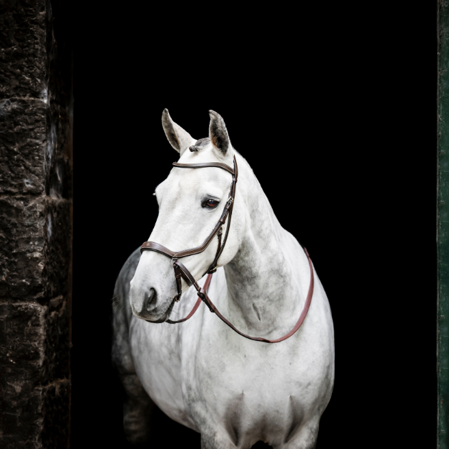 Horseware Ireland Micklem Bitless Bridle #colour_brown