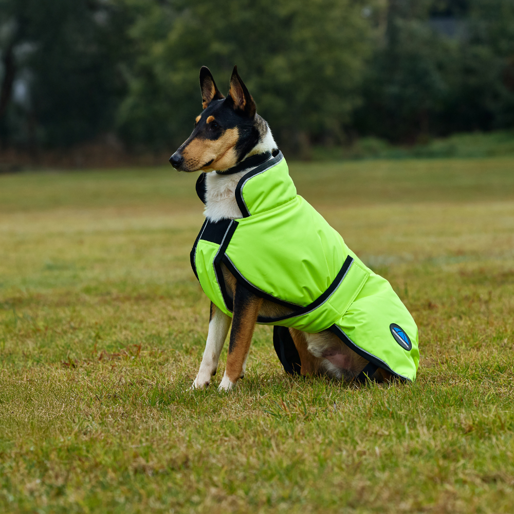 Weatherbeeta Comfitec Reflective 300D Deluxe Showerproof Dog Coat