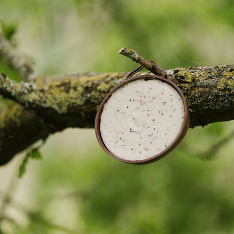 Peckish Natural Balance Coco-Not