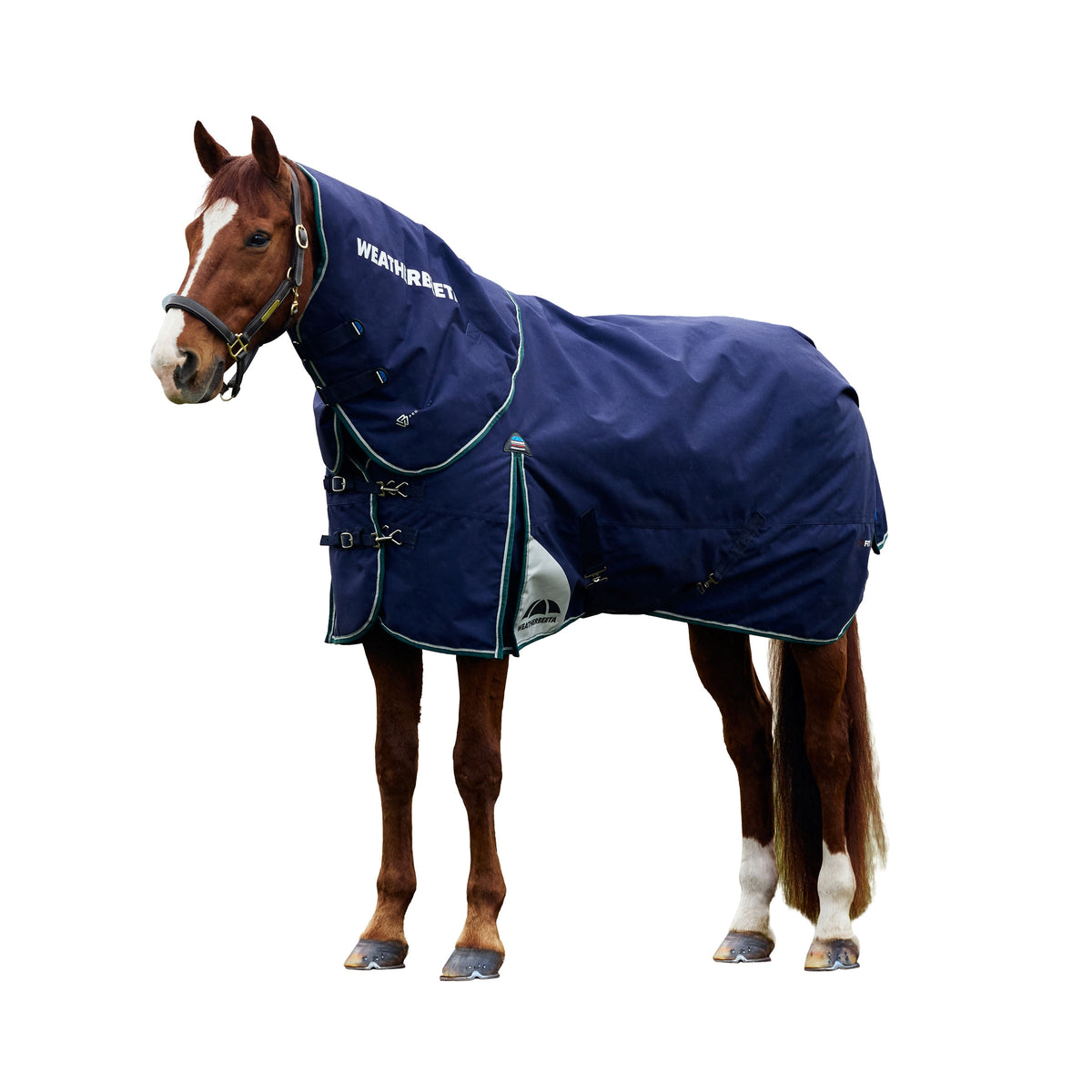 Weatherbeeta Comfitec Plus Dynamic Turnout Detach-A-Neck 360g
