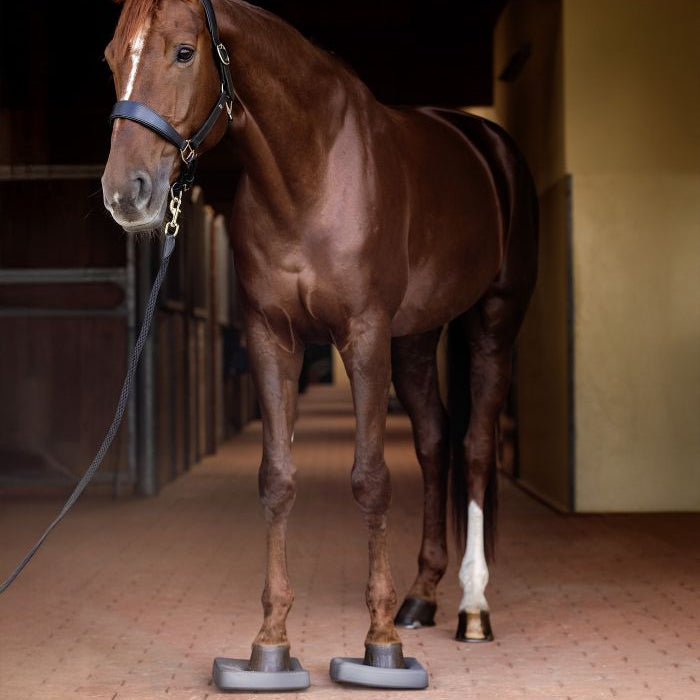 Waldhausen Health & Care Balance Pads #colour_grey