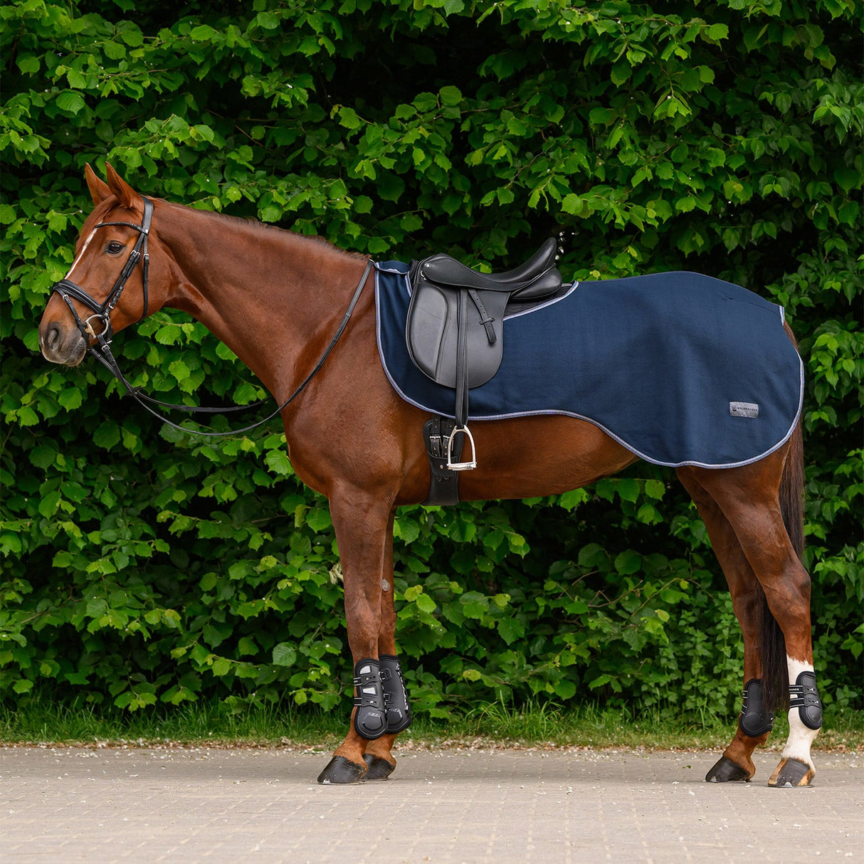 Waldhausen Economic Fleece Exercise Rug