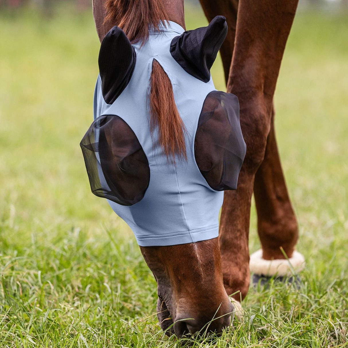 Waldhausen Puck Fly Mask