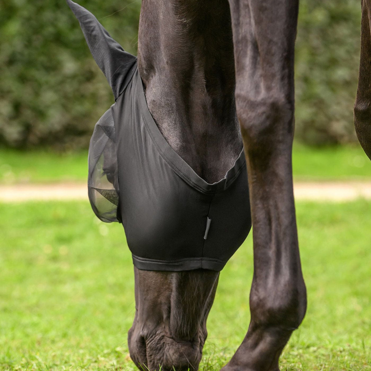 Waldhausen Fly Mask Puck Flex #colour_black