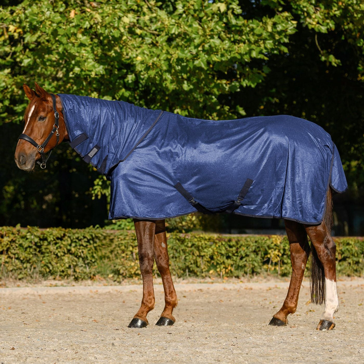 Waldhausen Fly Rug Flycontrol With Neck Rug #colour_blue