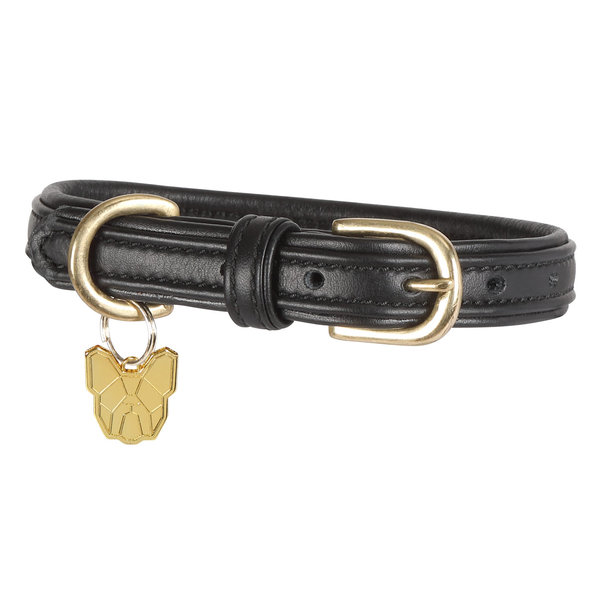 Shires Digby & Fox gepolstertes Hundehalsband aus Leder