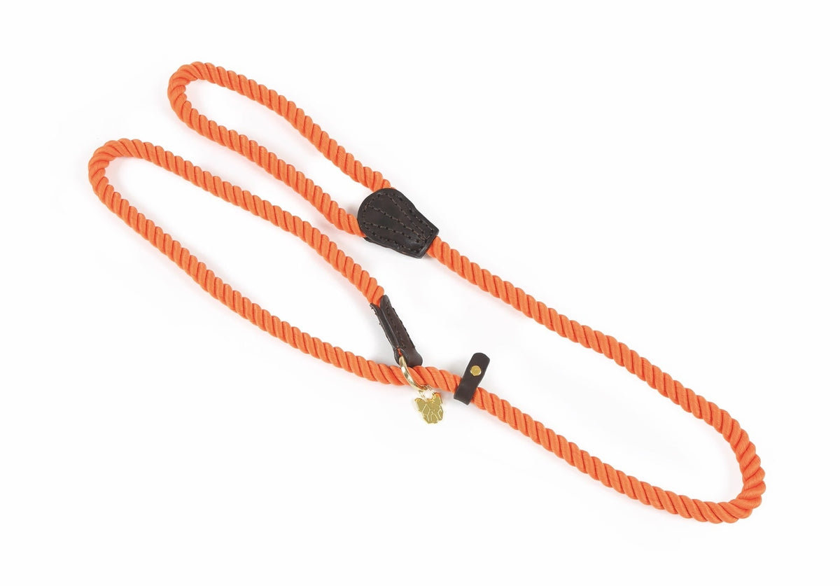 Shires Digby & Fox Rope Slip Hundeleine