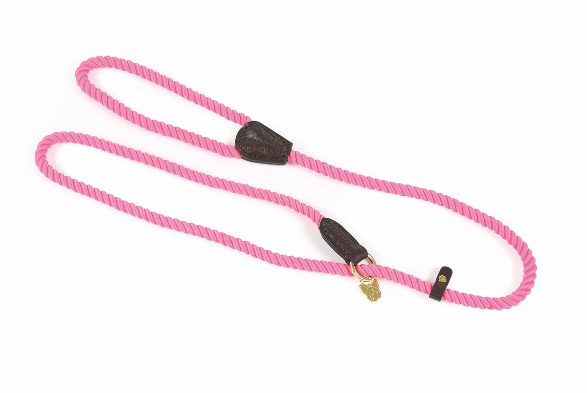 Shires Digby & Fox Rope Slip Hundeleine