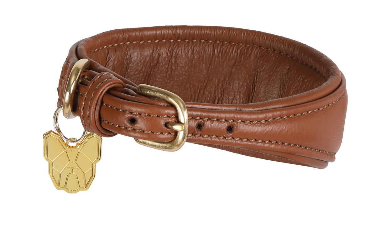 Shires Digby & Fox Padded Greyhound Collar