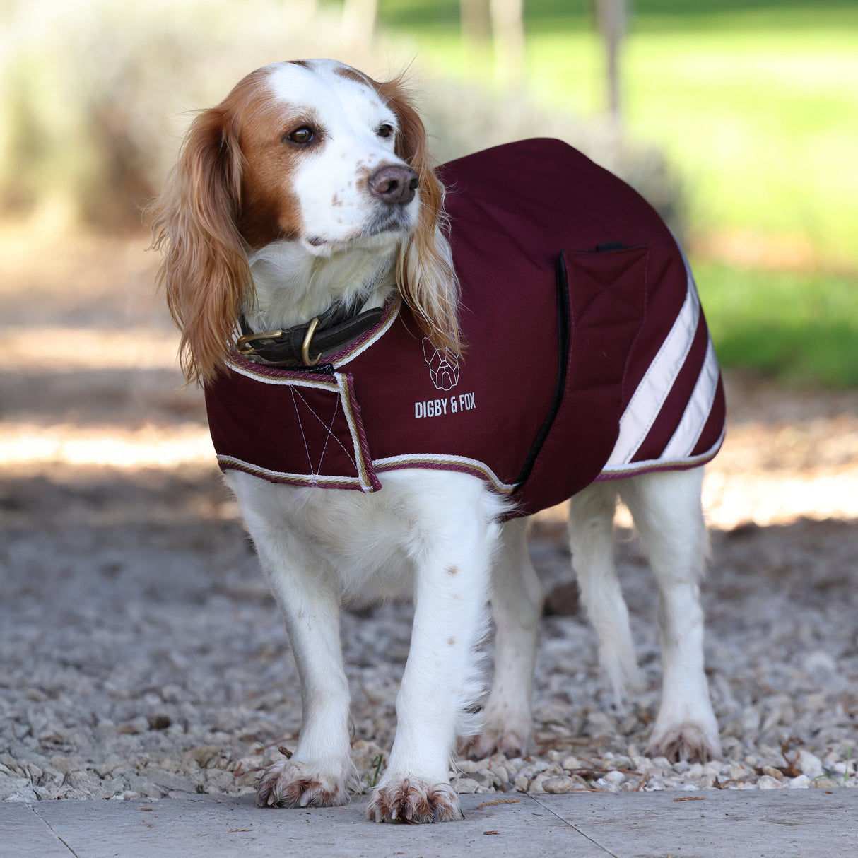 Shires Digby & Fox Wasserdichter Hundemantel