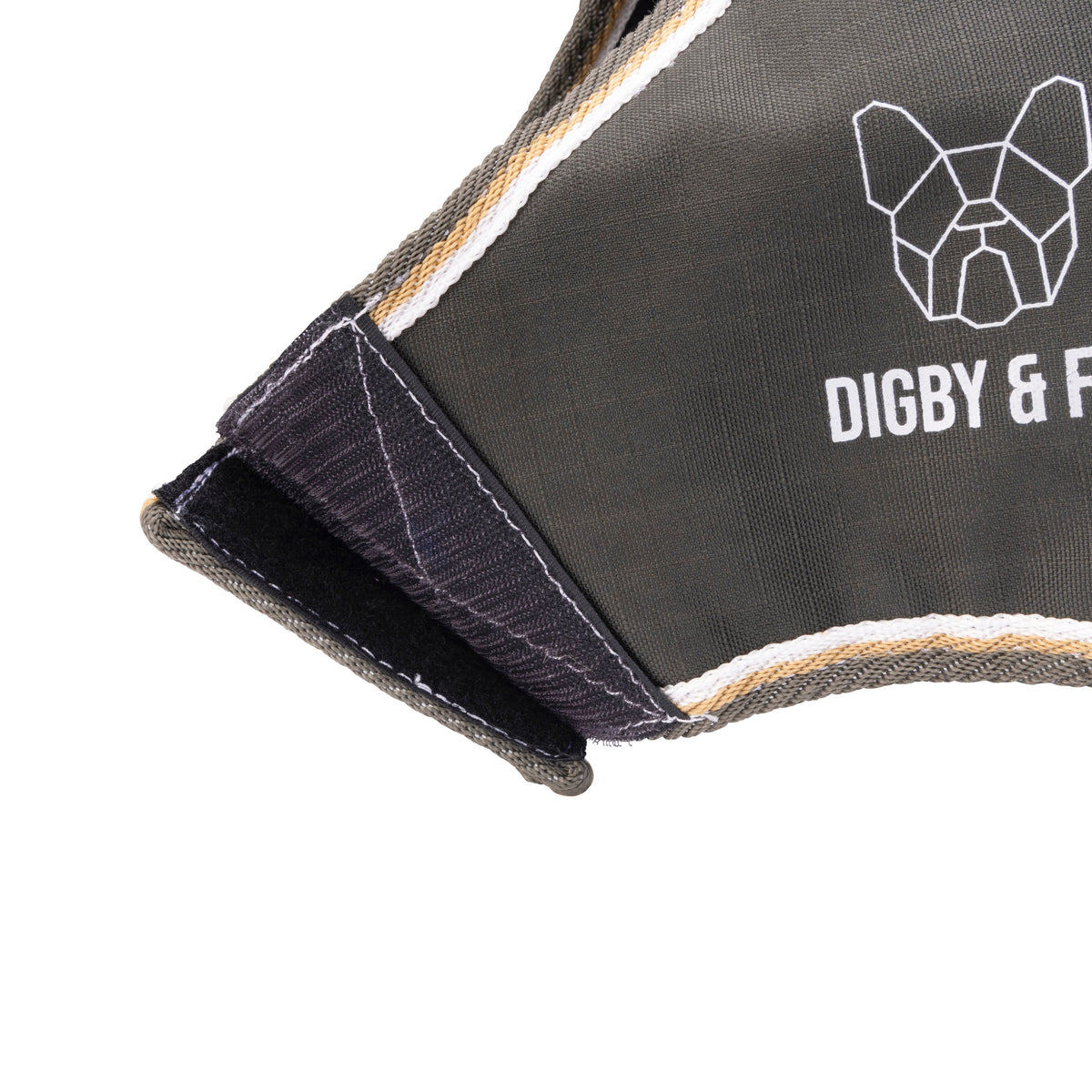 Shires Digby & Fox Waterproof Dog Coat
