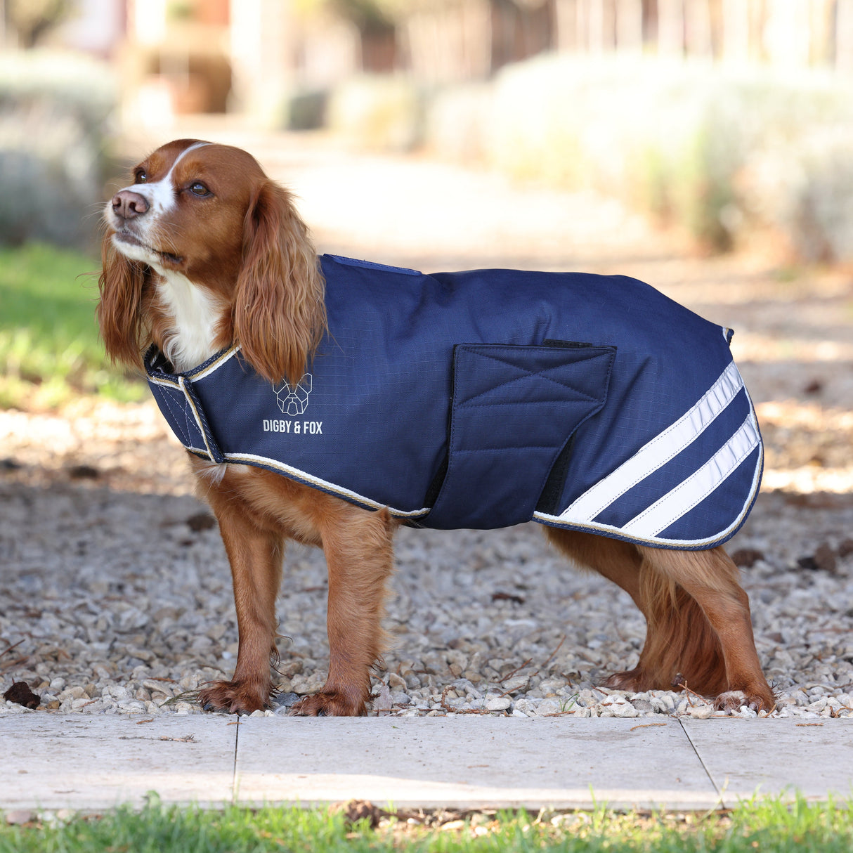 Shires Digby & Fox Wasserdichter Hundemantel