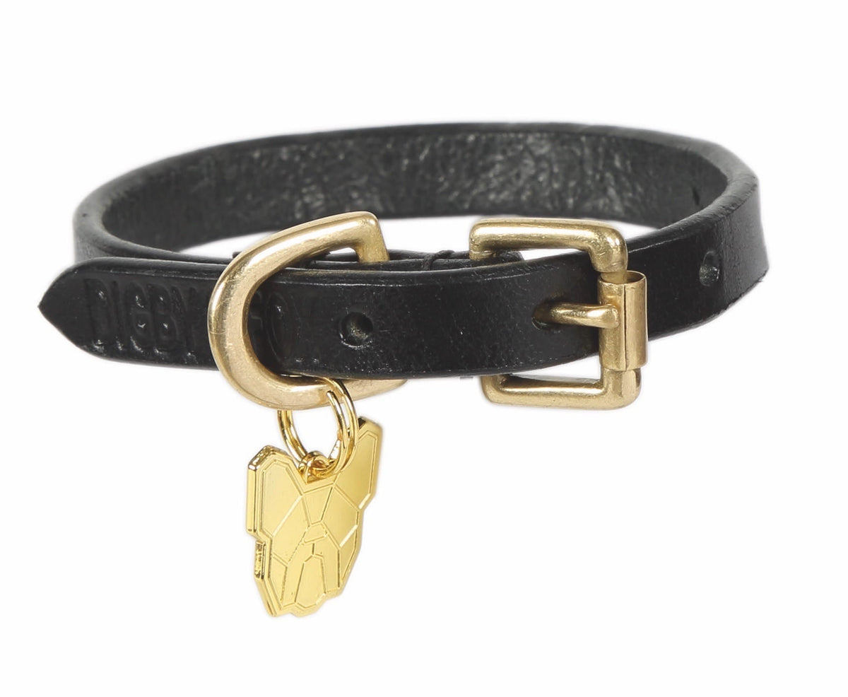 Collier pour chien en cuir plat Shires Digby & Fox