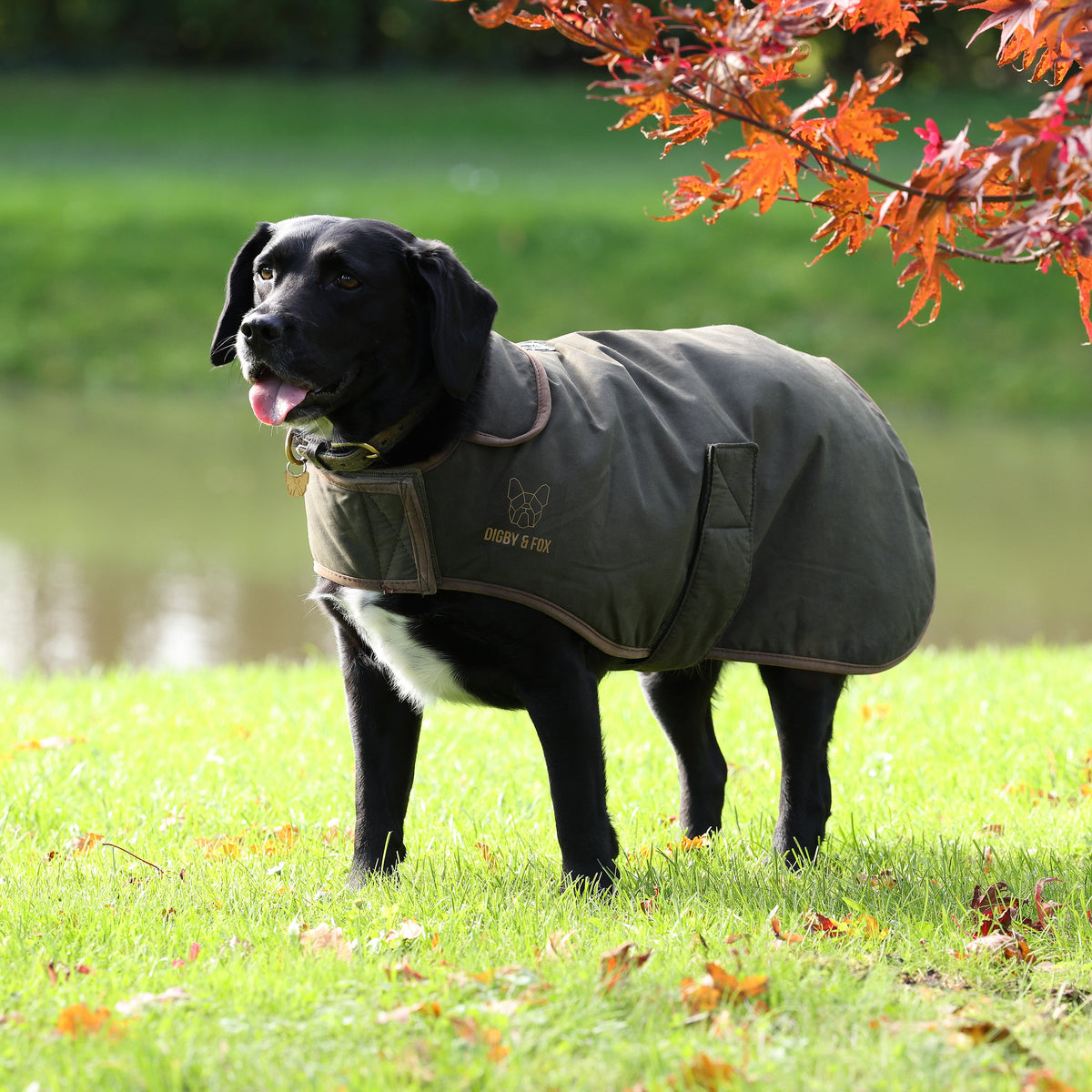 Digby & Fox Wax Coat