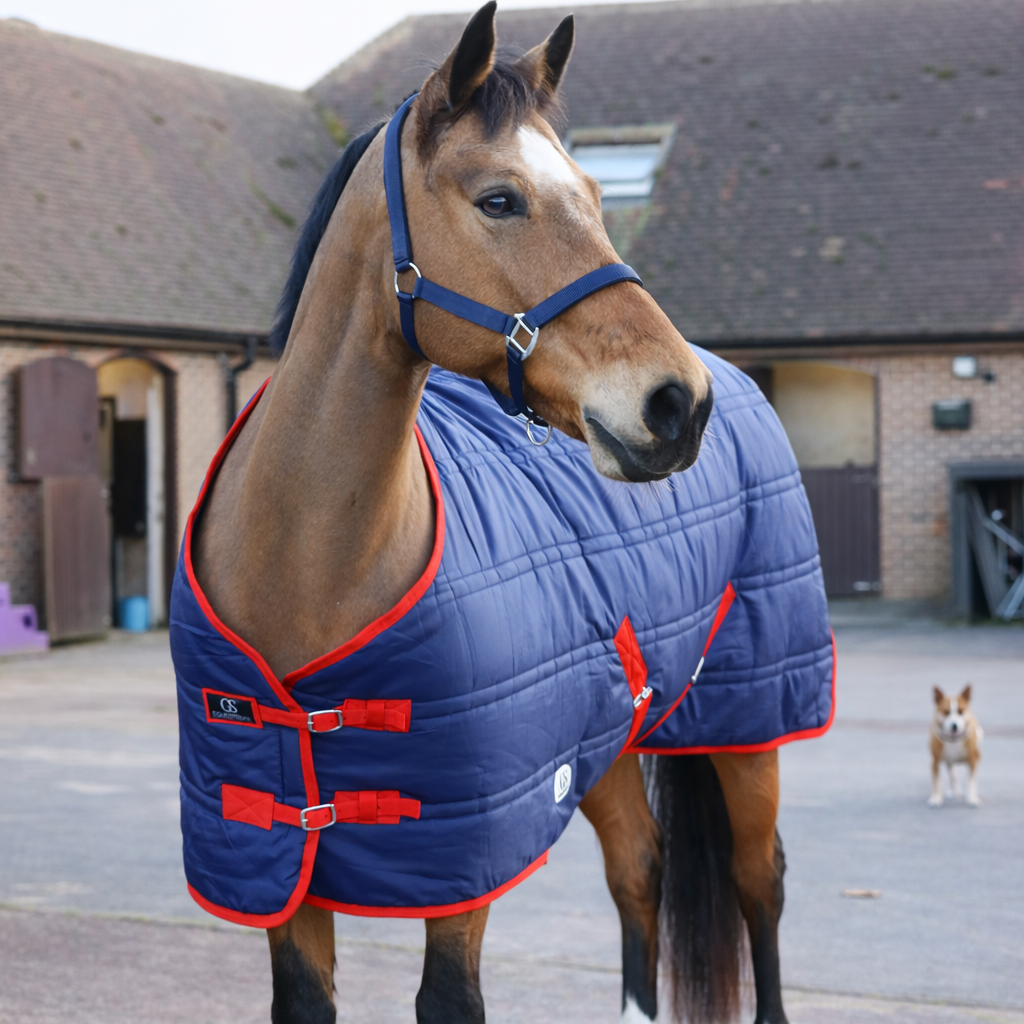 GS Equestrian 250g Stable Rug