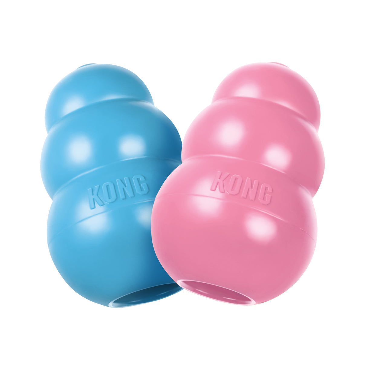 KONG Welpe