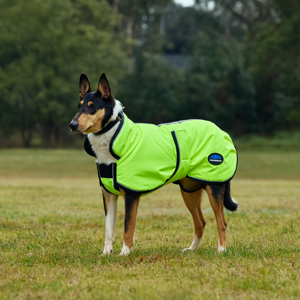 Weatherbeeta Comfitec Reflective 300D Deluxe Showerproof Dog Coat #colour_yellow