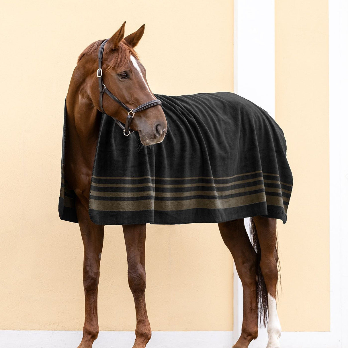 Waldhausen Fleece Rug Sölden #colour_black