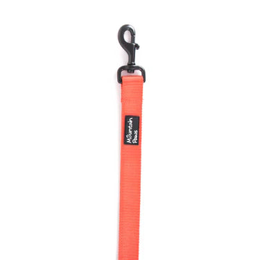 Mountain Paws Extra Tough Dog Lead #colour_orange